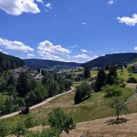 Im Tonbachtal/ Mit Traumausblick *