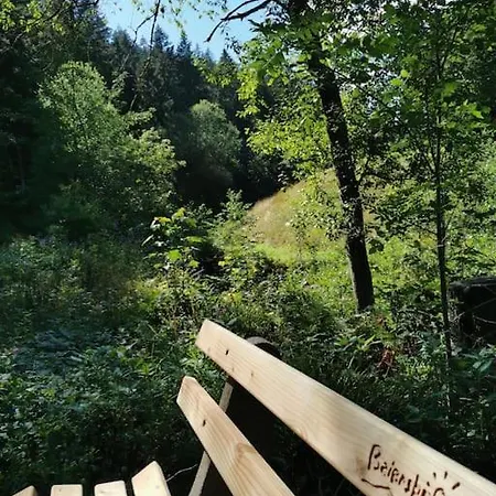 아파트 Im Tonbachtal/ Mit Traumausblick