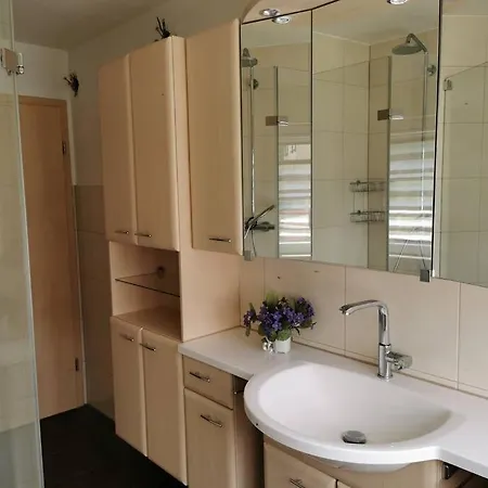 Im Tonbachtal/ Mit Traumausblick 바이에르스브론