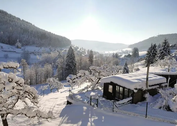 Im Tonbachtal/ Mit Traumausblick Baiersbronn